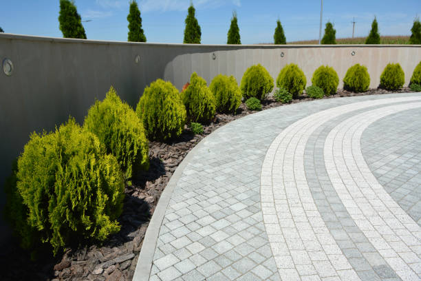 Reliable Gladstone, MO Driveway Pavers Solutions